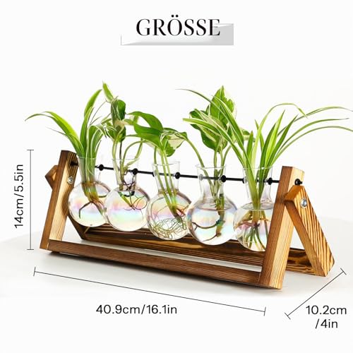 XXXFLOWER Propagation Station Vintage 5 Glaskugeln,Ableger Pflanzen Glas mit Holzständer,PlantsTerrarium,Glas Reagenzgläser Blumen,Hydroponik Blumenvase,Kleine Vasen Tischdeko,Zimmerpflanzen Zubehör