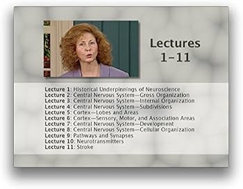 Amazon.com: Understanding the Brain : Jeanette Norden: Movies & TV