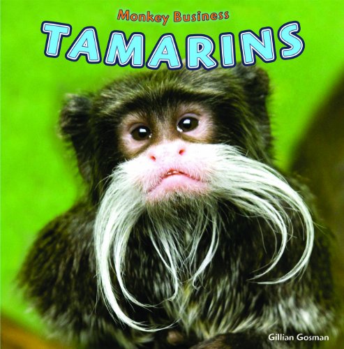 Preisvergleich Produktbild Tamarins (Monkey Business)