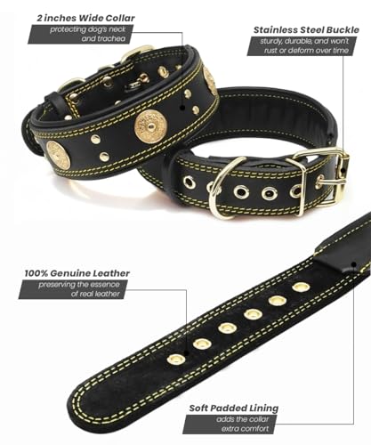 Image of Genuine Leather Dog Collar for Large Dogs,2 in Wide Heavy Duty,BK-GD-M | Handmade,Stainless Steel Pin Buckle,Soft Padded,Alloy Studded,Luxury Eye-catching Design,Medium to Giant Breeds,18.5-22.5 in