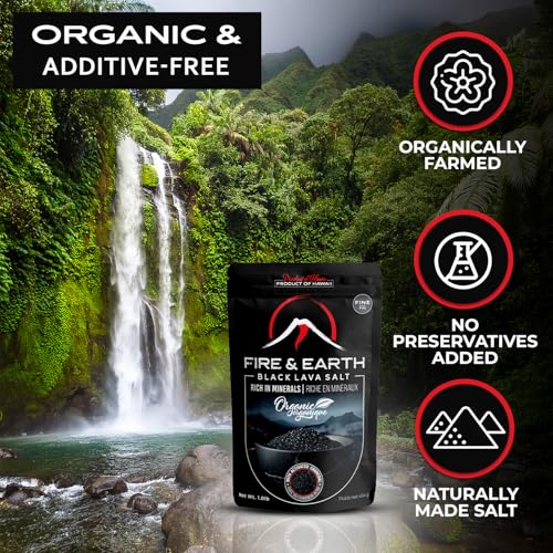 Fire & Earth Sal Negra Lava Orgánica 16.0 Ounce miniatura 6