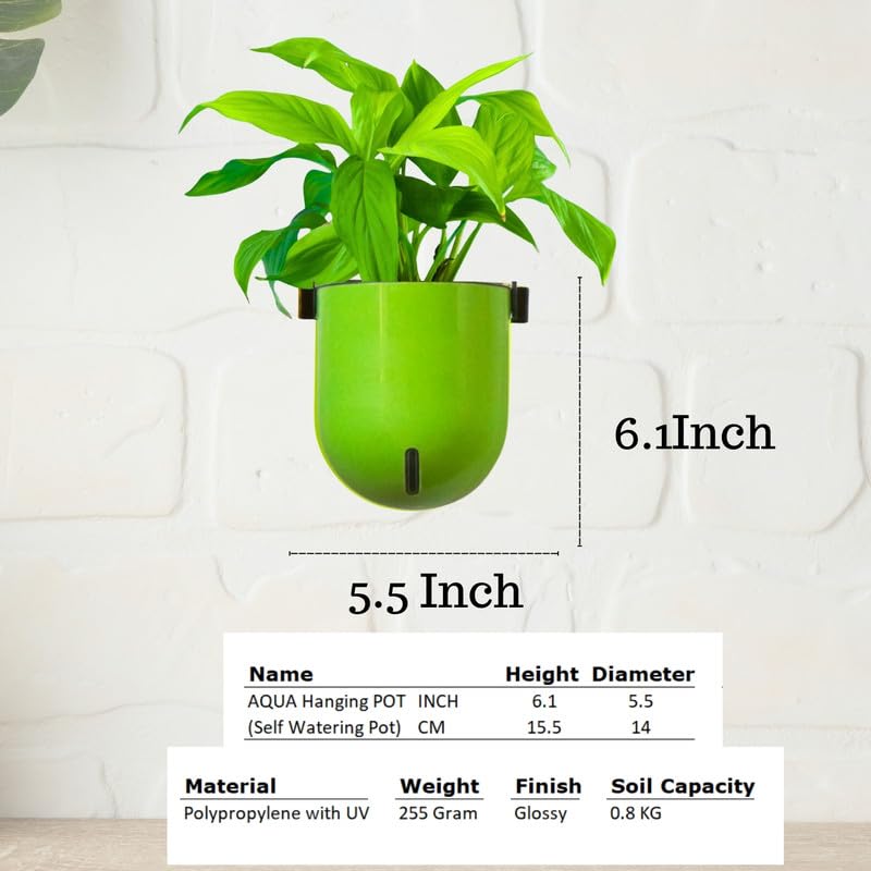 Image of Indian Discovery Self Watering Wall Hanging Planter|Hanging /Hooked Flower Pots for Home, Balcony, Vertical Garden Decor Flower Pots(6 PC, Multi-Color, Sphere)|6 Inch UV-Resistant Plastic Plant Pots