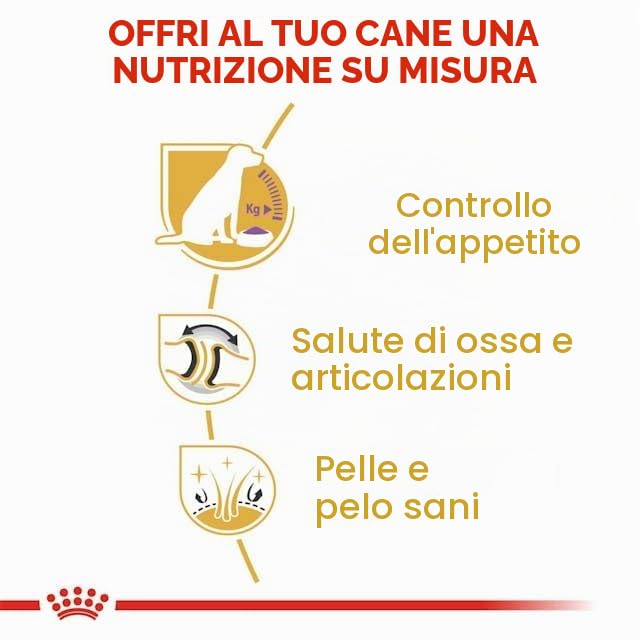 Royal Canin Labrador Retriever Adulto sterilizzato 12 kg