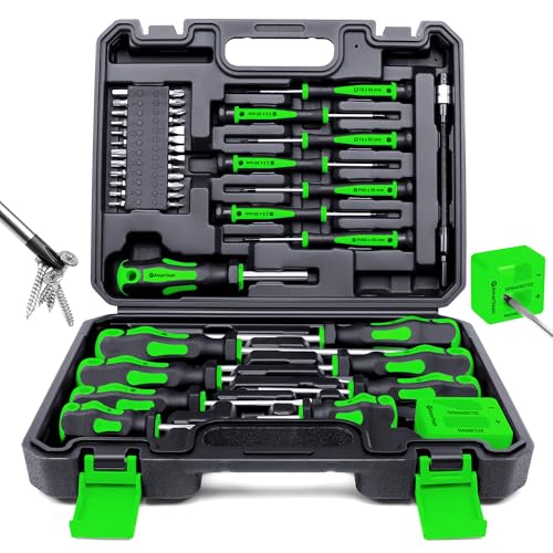Magnetic Screwdrivers Set with Case, Amartisan 43-piece Includs Slotted, Phillips, Hex, Pozidriv,Torx and Precision Screwdriver Set, Magnetizer Demagnetizer Tools, Tools for Men (Green))