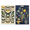 Cavallini Wrap – Vlinders & Paardebloem – 2 x Poster Set – 20 x 28 Wrap