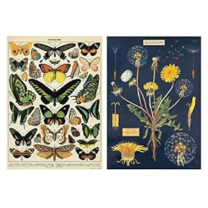 Cavallini Wrap – Vlinders & Paardebloem – 2 x Poster Set – 20 x 28 Wrap