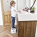 Prince Lionheart Step Stool, Berry Blue