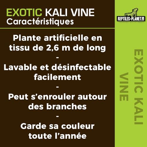 Reptiles Planet - Exotic Kali Vine - Stoffpflanze - Dekoration für Terrarium - 2,6 m