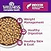 Wellness Complete Health Adult Dry Cat Food for Indoor Cats, Natural, Grain Free Kibble, Salmon and Herring Meal Recipe, 5.5 lb Bag