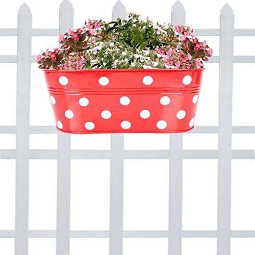 TrustBasket Dotted Oval Railing Planter for Balcony with Detachable Handle (Red, 12 inch) | Hanging Planter | Anti Rust Plant Container Gamla for Home Décor | Indoor & Outdoor (B01MU39SJX) Amazon Price History, Amazon Price Tracker