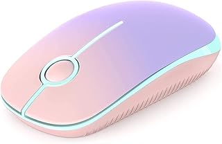 Wireless Mouse, Vssoplor 2.4G Slim Portable Computer Mice with Nano Receiver for Notebook, PC, Laptop, Computer (Pink to Purple)
