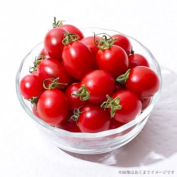 ★mika★ミニトマト フルーツミニトマト PRINCESS 約150g | OSMIC FIRST onlineshop