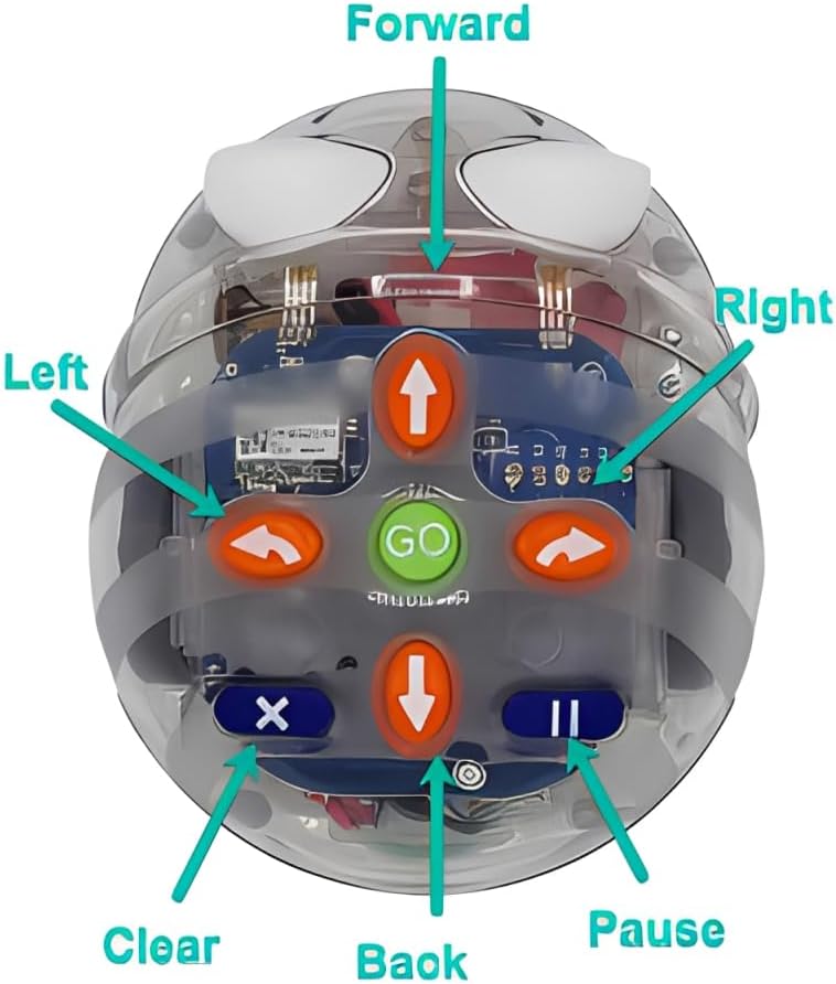 Beginner's Programming Materials: 1pc See & Say Blue-Bot Floor Robotics with 1pc Activity Floor Mat