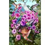 Briarwood Lane Hummingbirds and Petunias...