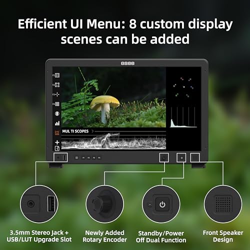 Image of osee Mega 22S 22inch Ultra Bright HDR Field Production Monitor VMKit with Sunhood Battery Plate Cstand Adapter Custom Foam Mold