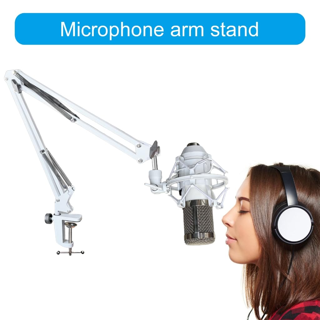 Bras de microphone réglable en métal pour enregistrement et diffusion