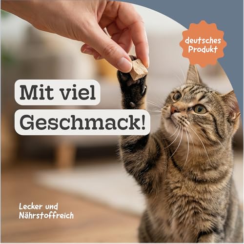 Hühnerbrustfilet Gefriergetrocknet für Hund und Katze, Proteinreich, Fettarm, Naturbelassen, Ohne Konservierungsstoffe, Premium Snack, Freeze Dried(1kg)