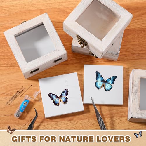Image of Reallnaive 4 Pcs Insect Pinning Kit 4 inch Wooden Display Case Box, EVA Foam Insect Pinning Board, 100 Bug Pins for Butterfly Specimen Bugs Collection Tools (White)