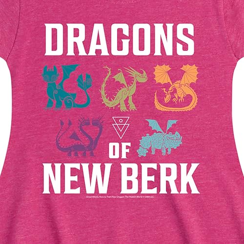 How to Train Your Dragon - Dragons of New Berk - Toddler and Youth Girls Fit and Flare Dress2