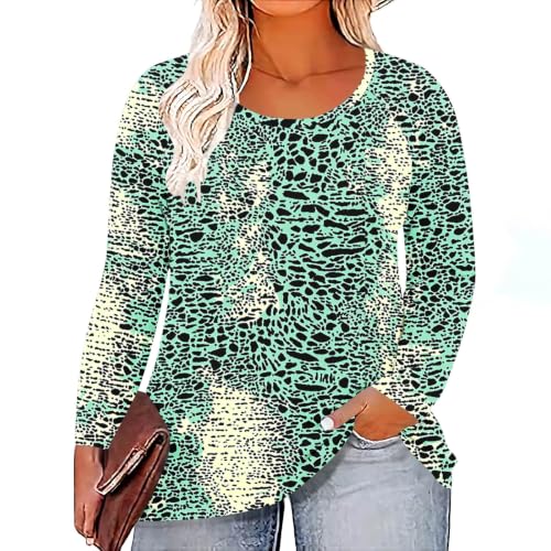biqikav Womens Long Sleeve Tops Heart Print Casual Tunic Shirts