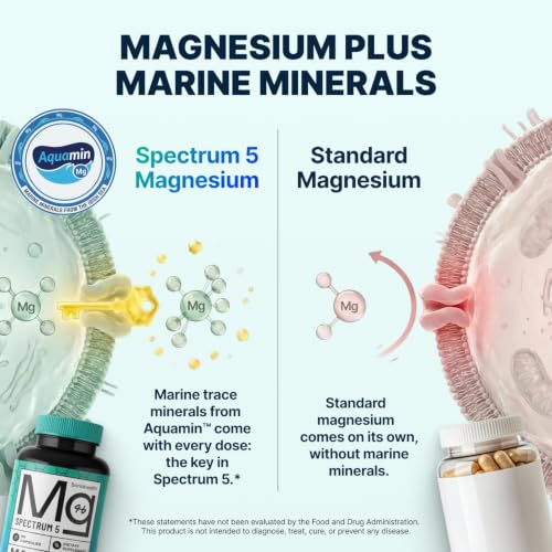 Spectrum 5 Magnesium | 5-in-1 Magnesium Complex - Image 4