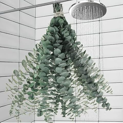 Oning 11 PCS Dried Eucalyptus Stems Cover