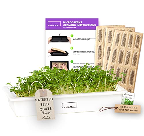 GUARANTEED TO GROW, JUST ADD WATER: Our microgreens are guaranteed to grow. If your sprouting kit doesn’t grow as advertised, we’ll work with you to figure out what’s going wrong, send you a replacement at no cost, or give you a full refund. ALL-IN-O...