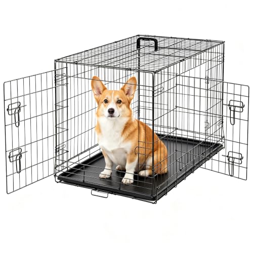 Image of Dog Crate 36 Inch Medium Dog Cage Foldable Indoor Outdoor Pet Kennel | Double Door Metal Wire Portable Dog Kennel with Secure Lock, Leak-Proof Pan Tray, Dog Training and Travel