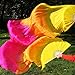 Nimiman Women 1 Pair (Left+Right) Silk Belly Dance Fan Veil Belly Dancing Long Folding Fans Length 180 cm Width 90 cm (Yellow Orange Rose)