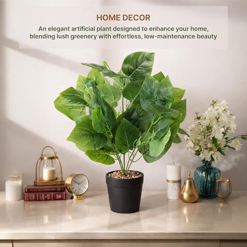 Image of Habere India-All the Cultures Fabricating India Tropical Philodendron Artificial Plants with Pot for Home Decor | Small Fake Plants for Living Room & Indoor Decoration (Design06: L9 x W9 x H40 cm)