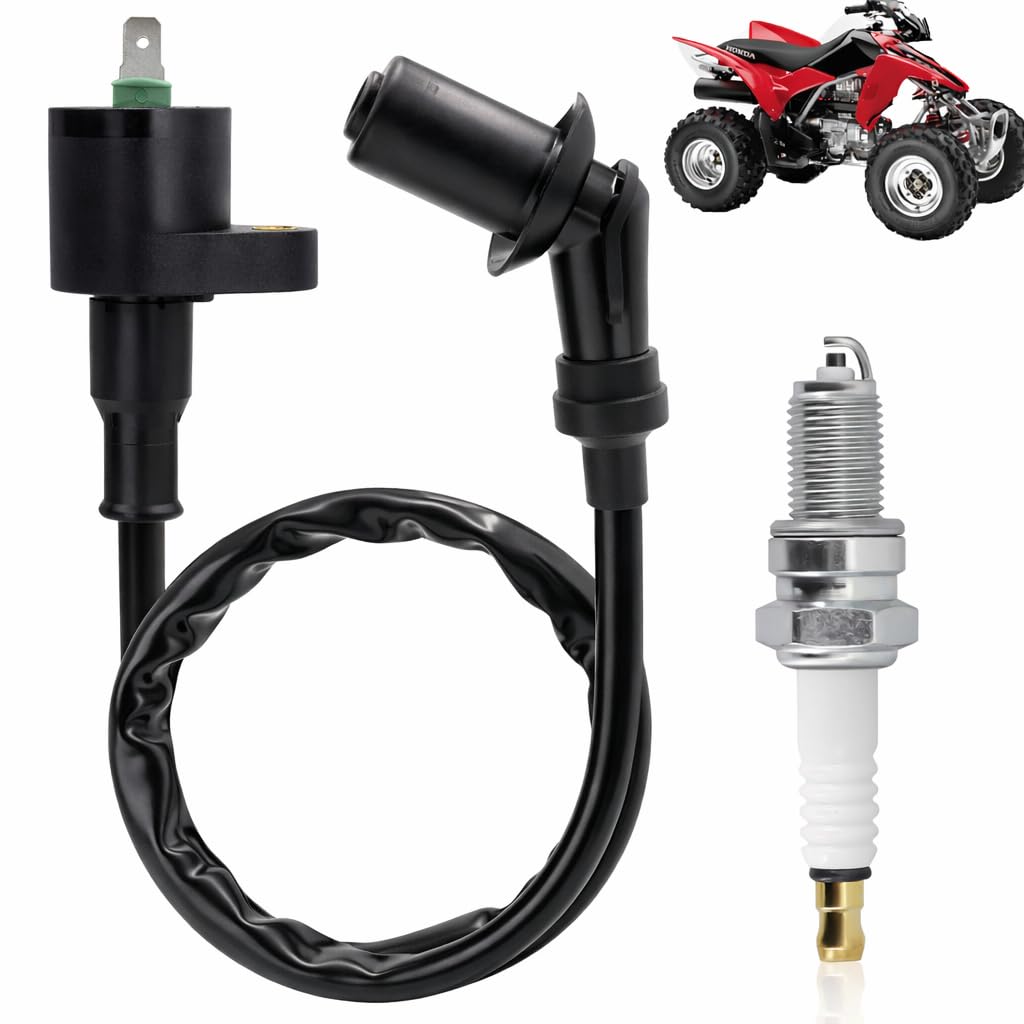 Amazon.com: Lgnition Coil for TRX300 TRX250 with 4929 DPR8EA9