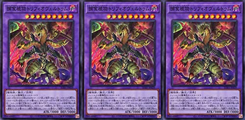 �y3���Z�b�g�z�V�Y�� SUB1-JP039 �ߐH�A���g���t�B�I���F���g�D�� �X�[�p�[���A SR SECRET UTILITY BOX �V�[�N���b�g ���[�e�B���e�B �{�b�N�X