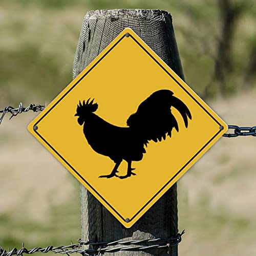 Cartello in alluminio con scritta "Chicken Crossing Warning "Shicken Crossing" in alluminio con scritta "Shabby" in ferro da stiro, decorazione per strada, garage, famiglia, bar, bar, 30,5 x 30,5 cm