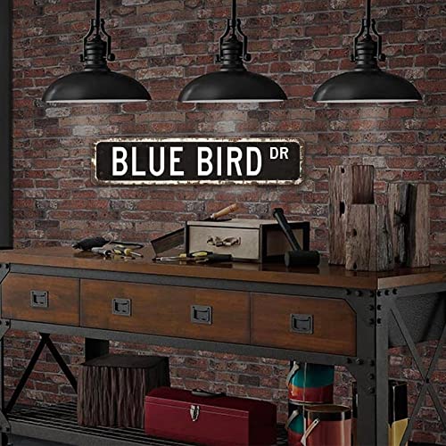 Blue Bird Dr Animal Street Sign Personalized Your Text Decorative Wall Street Sign Blue Bird Lover Sign For Home Cabin Front Door Outdoor Decor 18X4In #TOP2
