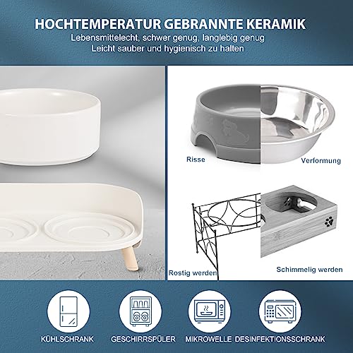 Katzen Napfset Katzennapf Erhöht Keramik - Doppelt Katzennäpfe mit Rutschfestem Ständer und Spritzschutz - Fressnapf Katze Napf - Futternapf Wassernapf Set für Welpen Kleine Hunde - 2 x 480 ML