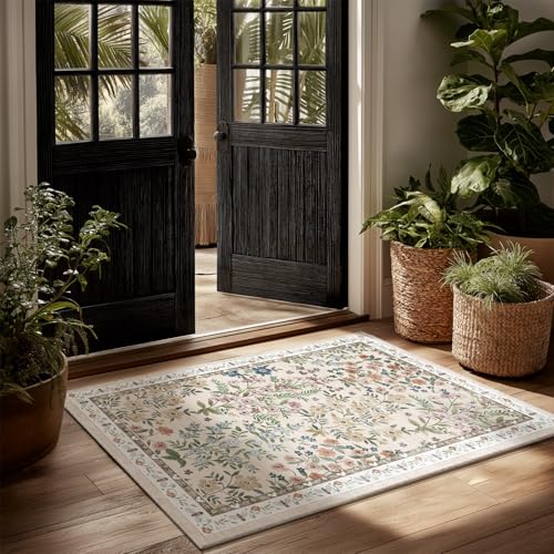 Machine Washable Small Rugs for Entryway: Door Mat Indoor Entrance 2x3 Throw Rug Non-Slip Low Pile Soft Kitchen Rugs for Front Door Indoor Entrance Entry Bedside Kids Room