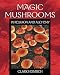 Magic Mushrooms in Religion and Alchemy