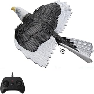 RKSTD Remote Control Plane, EPP Foam Material Remote Control Simulation Eagle Plane, 2.4GHZ 2 Channel Simulation Bird, with Gyro Stabilizer, Easy for Beginners to Fly