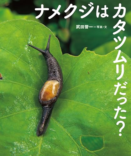 ナメクジはカタツムリだった？のサムネイル