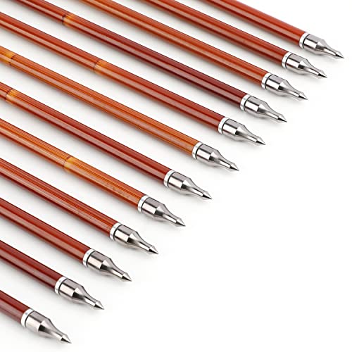 Surwolf 31Inch Carbon Arrow Practice Target Arrows With 4" Natural Feather Spine 500 Hunting Arrows With Replaceable Arrowhead For Compound And Recurve Bows, 12/6 Pcs (Blue, 6Pcs) #TOP4