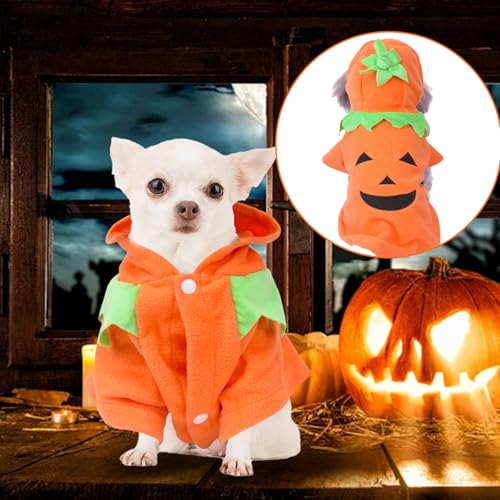 Halloween-Kürbis-Kostüm für Hunde und Katzen, lustige Haustierkleidung, für kleine Hunde, Katzen, Welpen, Größe XL
