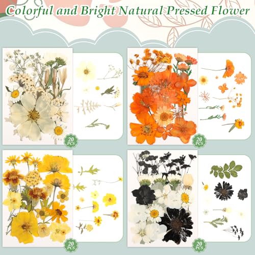 Image of 500 PCS Dried Flowers Butterfly Stickers for Crafts Real Natural Pressed Flowers Dry Leaves Kit for DIY Making Crafts Resin Soap Candle Scrapbook Supplies Card Making Jewelry