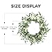 Pinkpum 20'' Eucalyptus Wreath for Front Door, Porch, Window - Green Decor for Home, Farmhouse - Spring, Summer, Fall, All Seasons