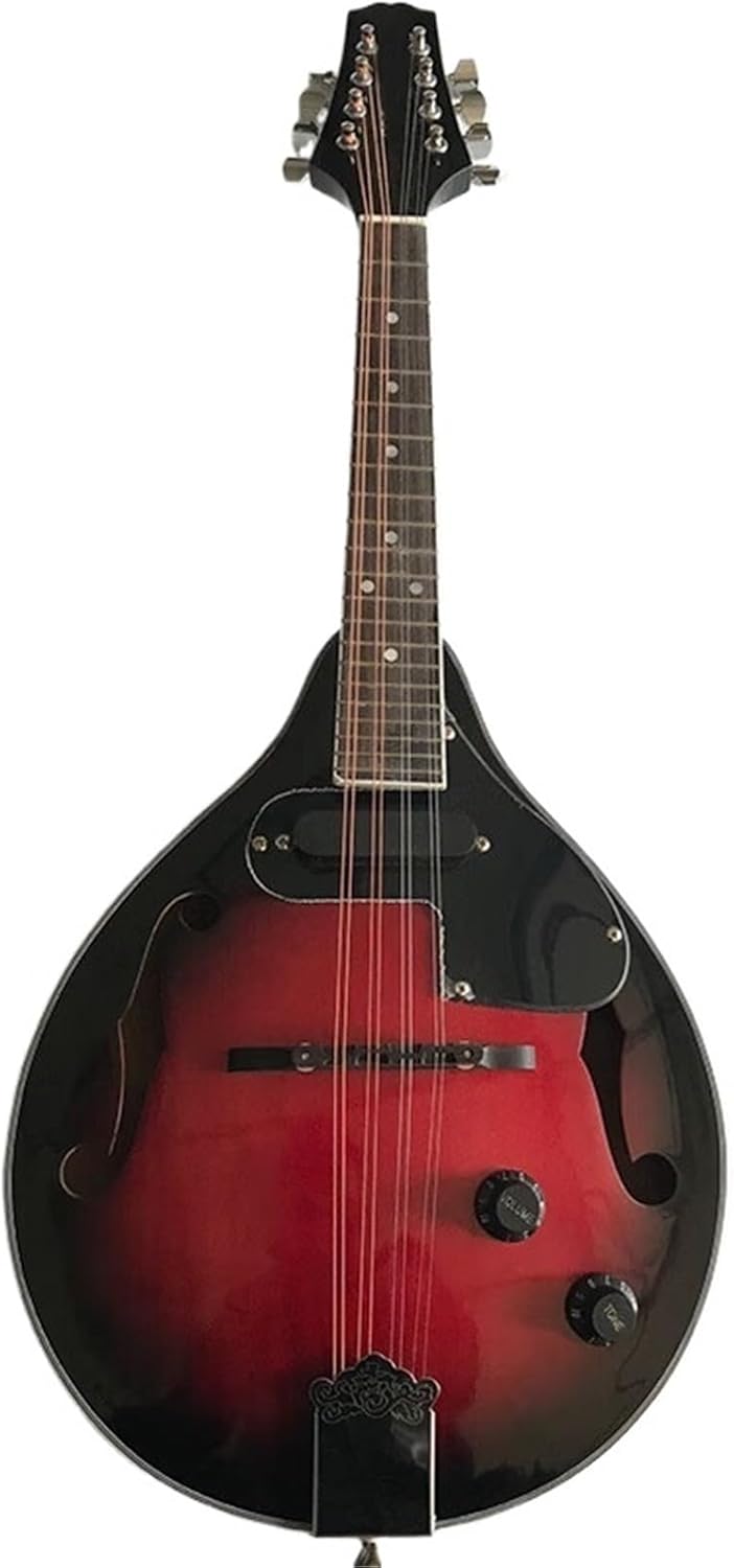 たくみの会DVD  未来と感覚の循環トレーニング 白神康信　白神アソシエイツ たくみの会DVD 未来と感覚の循環トレーニング 白神康信 白神