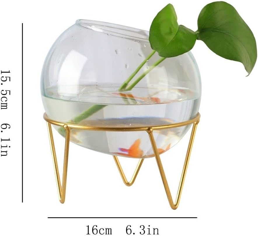 TOOSII Fish Bowl Vase Creative Bracket Glass Transparent Fish Tank Water Plant Vase Small Decorative Fish Tank Water Fish Tank Office Home Small Fish Tank Starter Kit (Color : A, Size : 16cm)