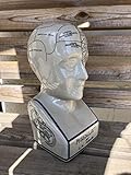 phrenology head ebay Tête de phrénologie Assorted Collections Extra Large Phrenology Head - 12 Ceramic by N/A