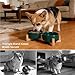 Ceramic Dog Bowl and Cat Bowls Set with 15° Adjustable Wood Stand, Non-Slip Weighted Pet Food and Water Bowls, Dual Raised Feeder for Small Dogs Cats, Matte Glaze Pet Dish 13.5oz Set of 2 (Green)