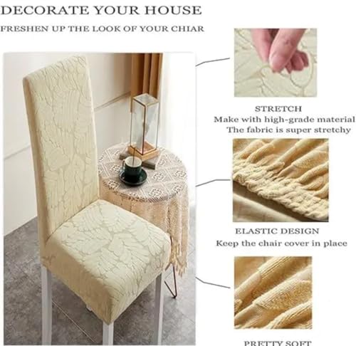 Image of BLACK SPADE Turkish Embossed Dinning Velvet Chair Cover Set of 6 || Stretch Removable Washable Short Dining Chair Cover Protector Seat Slipcover (Pack of 6) (Cream Leaves)