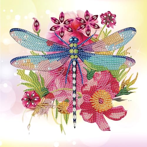 Image of AiYuanzsh 5D Special Shape Diamond Art Kits for Adults, Dragonfly Diamond Painting Kits for Beginners, Crystal Rhinestones Diamond Art Kit for Home Wall Decoration Gift 12x12inch /30x30cm