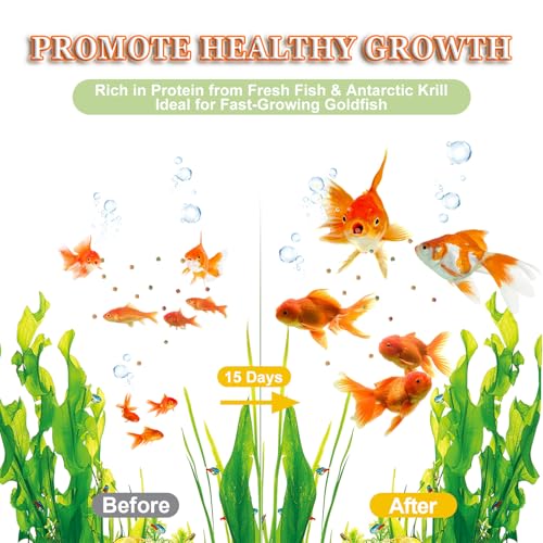 Goldfish Fish Food Floating Pellet - Color Enhancing with Antarctic Krill Spirulina Balanced Diet for Pond Tank Fish Promotes Growth Clear Water, 12oz - Image 5